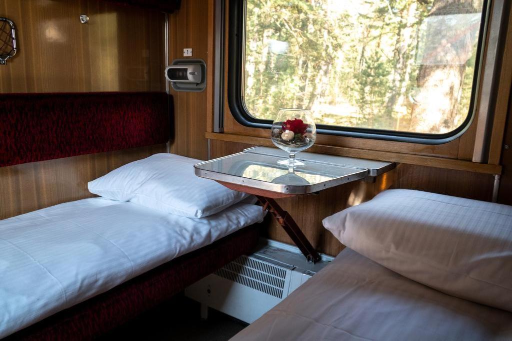 Palanga Camping Compensa Hostel Εξωτερικό φωτογραφία